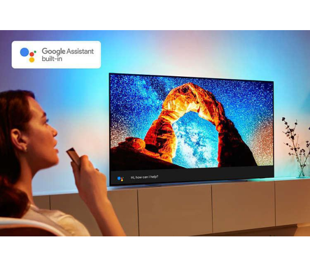 Philips 55OLED803 - 450201 - zdjęcie 9